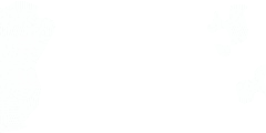 logo PEWE4D